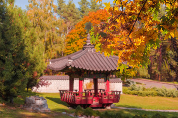 Maple branches with autumn leaves in Korean traditional garden, background