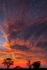 Sunset - Savuti - Botswana
