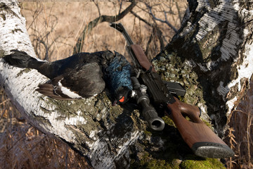 Gun and a black grouse