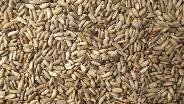 Oat seeds as natural food background. Top view. Healthy diet organic nutrition.