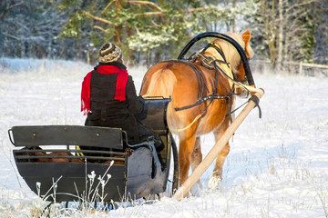 Woman with horse and sleigh