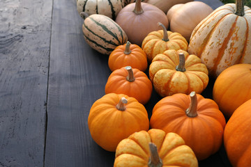 Different varieties of mini pumpkins on black wooden boards background.