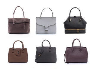 group of women leather handbags isolated on white background