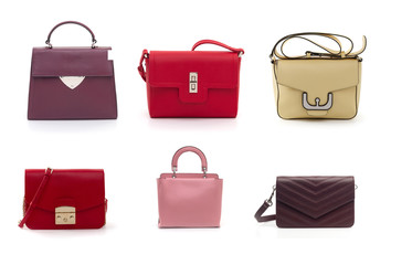 group of women leather handbags isolated on white background