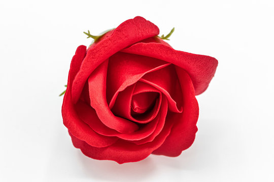 Red rose flower made from soap close-up isolated on white background