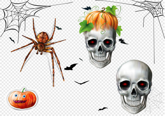 Halloween set. Skull, Spider, Pumpkin