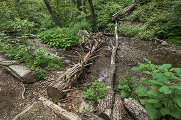 アメリカ、シェナンドー国立公園