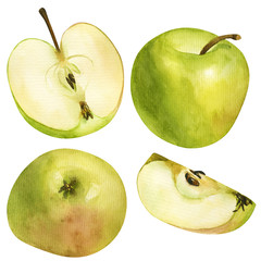 bright set of green apples, watercolor hand draw. The garden fruit is whole and cut into pieces. Isolated illustration to use for design, menu, wallpaper, poster, print, art, sticker, recipe, textile.