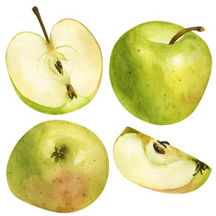 bright set of green apples, watercolor hand draw. The garden fruit is whole and cut into pieces. Isolated illustration to use for design, menu, wallpaper, poster, print, art, sticker, recipe, textile.