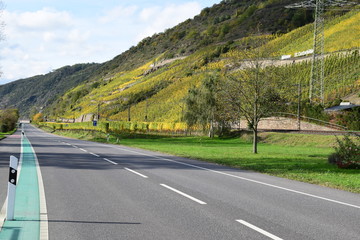 Weinberge an der Terassenmosel im Herbst