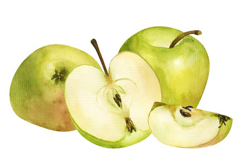 composition of green apples, watercolor hand draw. The garden fruit is whole and cut into pieces. Isolated illustration to use for design, menu, wallpaper, poster, print, art, sticker, recipe, textile
