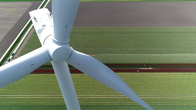 Aerial close up view of wind turbine is a device that converts the wind's kinetic energy into electrical providing homes with sustainable renewable electricity located at colorful tulip field 4k