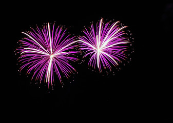 Pink and purple fireworks in the sky