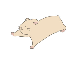 キンクマハムスター