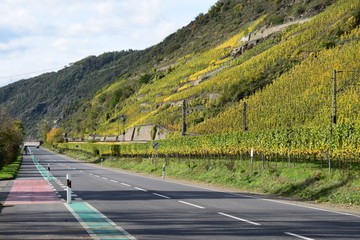 Weinberge an der Terassenmosel im Herbst