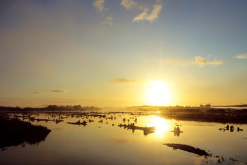 Fototapeta premium Ireland Landscapes