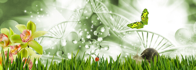 Abstract dna molecules together with a butterfly, snail and ladybug on a background of a fantastic landscape.