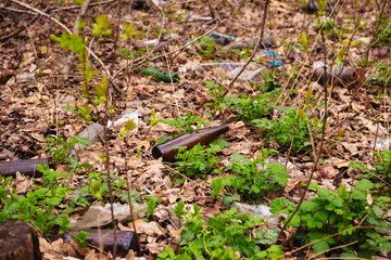 Rubbish left in the forest by holidaymakers