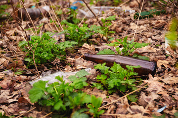 Rubbish left in the forest by holidaymakers