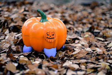 Children's pot in the shape of a pumpkin or Halloween style potty training