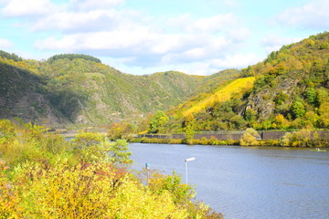 Weinberge an der Terassenmosel im Herbst