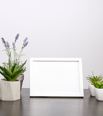 empty white frame, flowerpot with flower on a black table