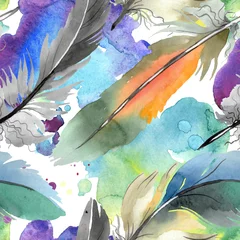 Wall murals Watercolor feathers Colorful bird feather from wing isolated. Watercolor background illustration set. Seamless background pattern.