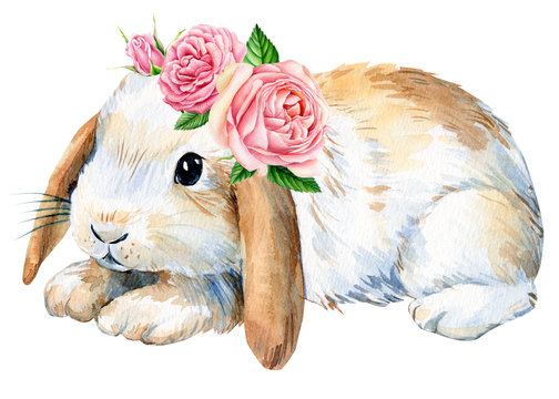 poster, cute bunny with roses flowers on an isolated white background, animals illustration