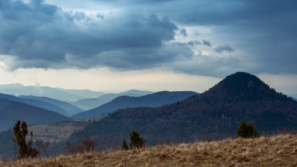 Tara National Park, Serbia