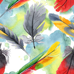 Colorful bird feather from wing isolated. Watercolour drawing fashion aquarelle. Fabric wallpaper print texture.