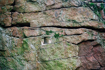Moss stone texture. Close up photo