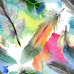 Fototapety  Kolorowe pióro ptak od skrzydła na białym tle. Zestaw ilustracji tle akwarela. Bezszwowe tło wzór.