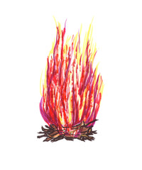 Magic bonfire isolated on white. Tongues of red, yellow and purple flame, template for text or lettering. Hand drawn illustration with markers, burning bonfire, campfire. For design,cards,  Halloween.