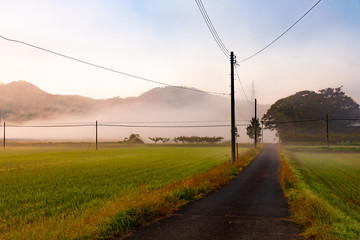 Fototapeta na wymiar 鳥取県・八頭郡若桜町の朝霧