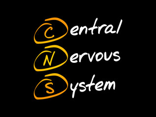 CNS - Central Nervous System acronym, concept background