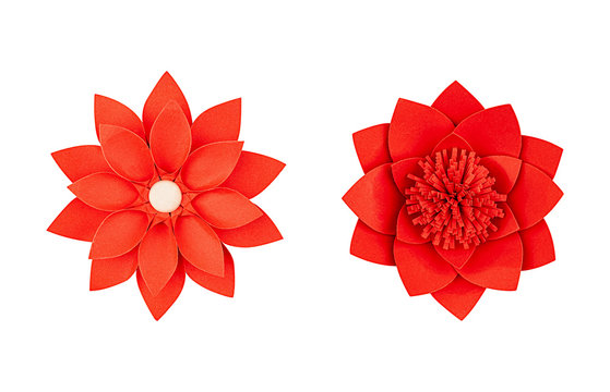 Set Red Paper Flower, Top View