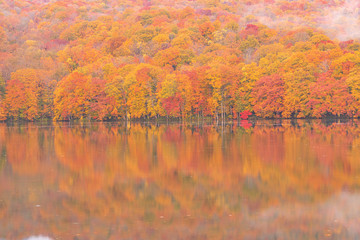 Towada Hachimantai National Park in autumn