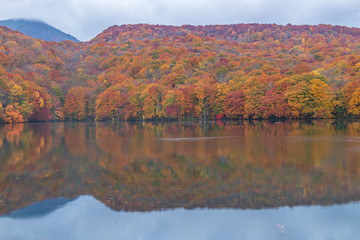 Towada Hachimantai National Park in autumn