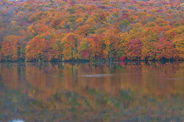 Towada Hachimantai National Park in autumn