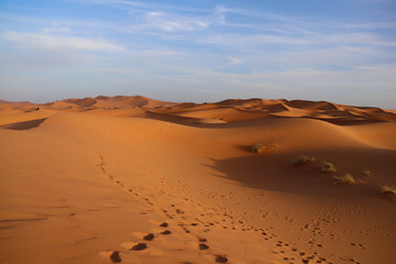 Fototapeta na wymiar Sand dunes from the sahara desert in Morocco with blue skies