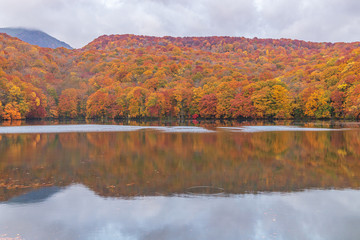 Fototapeta premium Towada Hachimantai National Park in autumn