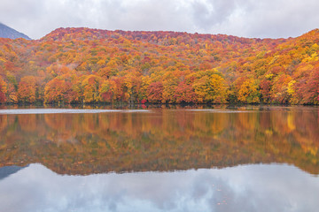 Towada Hachimantai National Park in autumn