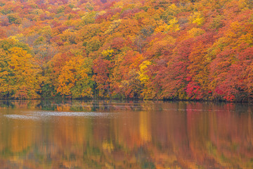 Towada Hachimantai National Park in autumn