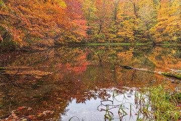 Towada Hachimantai National Park in autumn