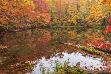 Towada Hachimantai National Park in autumn