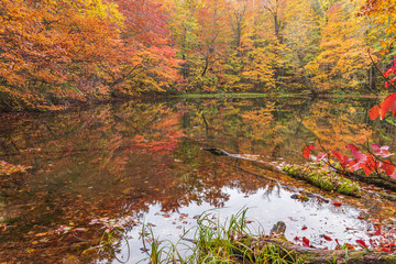 Towada Hachimantai National Park in autumn