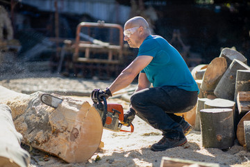 Man cut with saw. Dust and movements. Woodcutter saws tree with chainsaw on sawmill. lumberjack