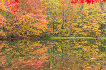 Towada Hachimantai National Park in autumn