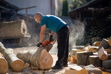 Man cut with saw. Dust and movements. Woodcutter saws tree with chainsaw on sawmill. lumberjack