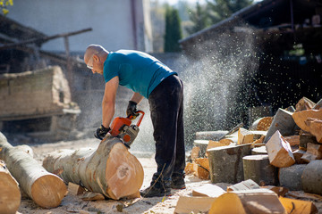 Man cut with saw. Dust and movements. Woodcutter saws tree with chainsaw on sawmill. lumberjack